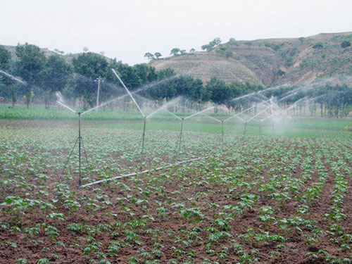 �c(di��n)���鿴Ԕ��(x��)��Ϣ��(bi��o)�}����̶����� ��x�Δ�(sh��)��2707