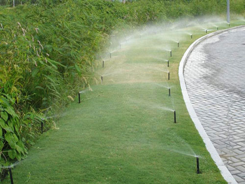 �c���鿴Ԕ��(x��)��Ϣ��(bi��o)�}����ƺ���� ��x�Δ�(sh��)��3156