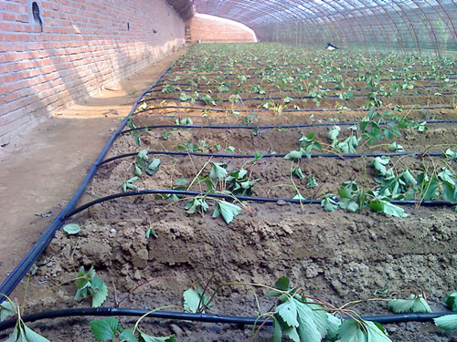 �c���鿴Ԕ��(x��)��Ϣ��(bi��o)�}�������ݮ�ι�� ��x�Δ�(sh��)��2849