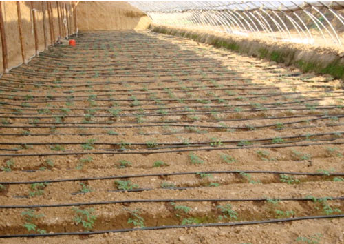 �c���鿴Ԕ��(x��)��Ϣ��(bi��o)�}������ι�� ��x�Δ�(sh��)��2782