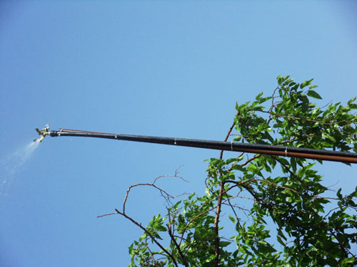 �c���鿴Ԕ��(x��)��Ϣ��(bi��o)�}����䇊�� ��x�Δ�(sh��)��2833