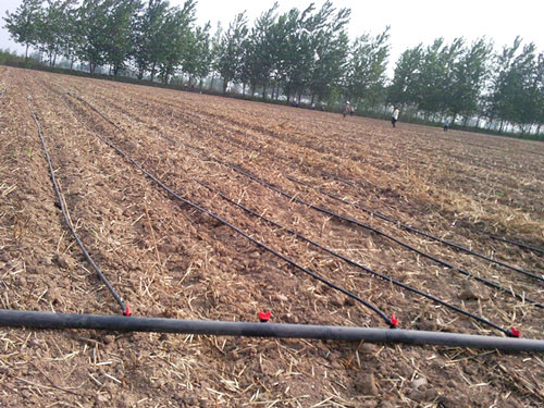 �c���鿴Ԕ��(x��)��Ϣ��(bi��o)�}������ι� ��x�Δ�(sh��)��2918