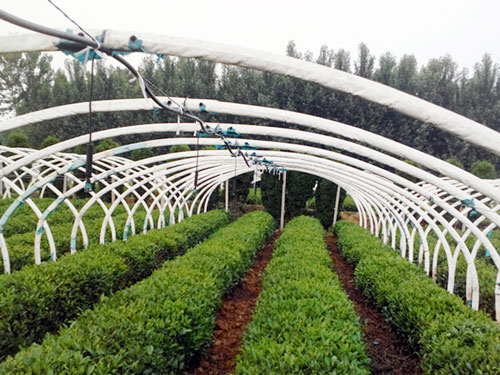 �c���鿴Ԕ��(x��)��Ϣ��(bi��o)�}�����~΢�� ��x�Δ�(sh��)��2736