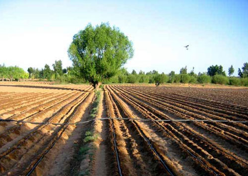 �c���鿴Ԕ��(x��)��Ϣ��(bi��o)�}���ι� ��x�Δ�(sh��)��2967