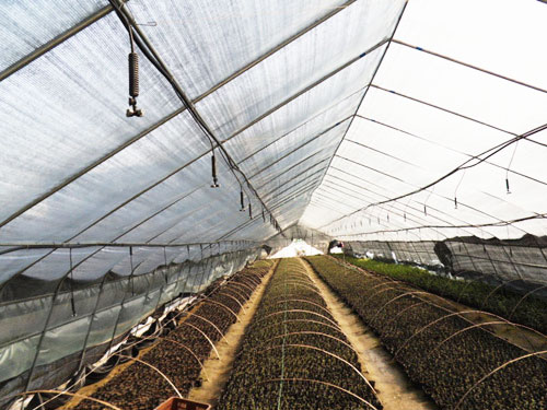 �c(di��n)���鿴Ԕ��(x��)��Ϣ��(bi��o)�}�������F���B�� ��x�Δ�(sh��)��2935