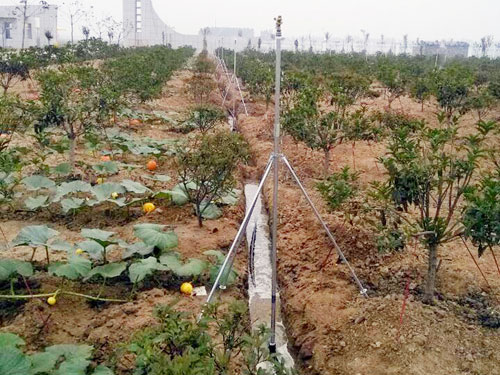 �c(di��n)���鿴Ԕ��(x��)��Ϣ��(bi��o)�}���̶����� ��x�Δ�(sh��)��3002