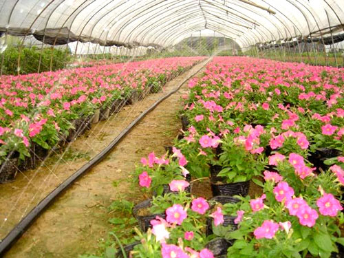 �c(di��n)���鿴Ԕ��(x��)��Ϣ��(bi��o)�}������΢���� ��x�Δ�(sh��)��3430