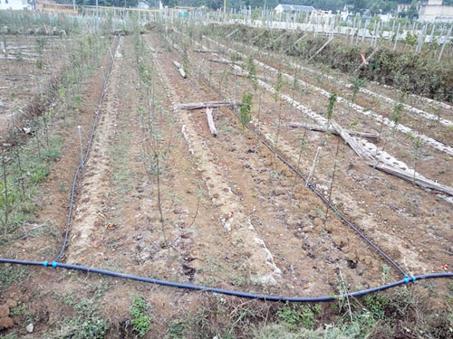 �c(di��n)���鿴Ԕ��(x��)��Ϣ��(bi��o)�}���Ҙ���С�͇��� ��x�Δ�(sh��)��3300