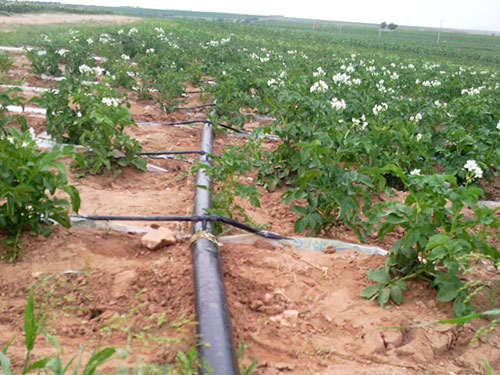 �c(di��n)���鿴Ԕ��(x��)��Ϣ��(bi��o)�}�������ι� ��x�Δ�(sh��)��3426