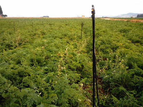 �c(di��n)���鿴Ԕ��(x��)��Ϣ��(bi��o)�}��ˎ�ĸߗU΢�� ��x�Δ�(sh��)��5420