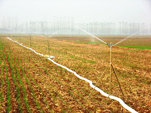 �c(di��n)���鿴Ԕ��(x��)��Ϣ��(bi��o)�}���Ƅ�(d��ng)���� ��x�Δ�(sh��)��6261