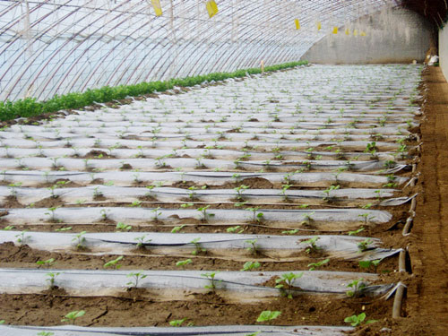 �c(di��n)���鿴Ԕ��(x��)��Ϣ��(bi��o)�}�����Ҵ���Ĥ�µι� ��x�Δ�(sh��)��4033