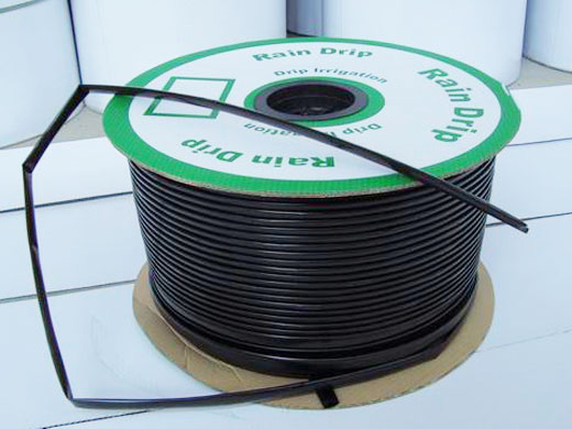 �c(di��n)���鿴Ԕ��(x��)��Ϣ��(bi��o)�}���NƬ�ι܎� ��x�Δ�(sh��)��2564