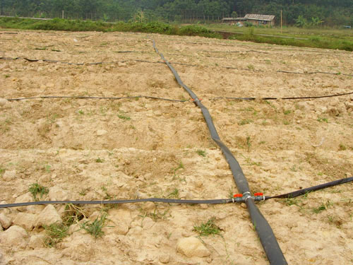 �c(di��n)���鿴Ԕ��(x��)��Ϣ��(bi��o)�}��΢�����B�� ��x�Δ�(sh��)��5548